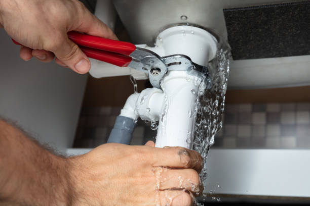 Best Water damage cleanup near me  in Plumsteadville, PA