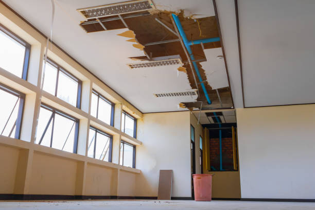 Best Water damage restoration near me  in Plumsteadville, PA