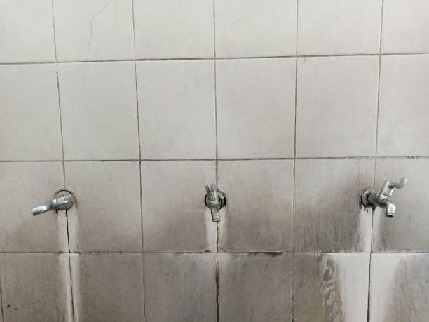 Best Flood restoration services  in Plumsteadville, PA