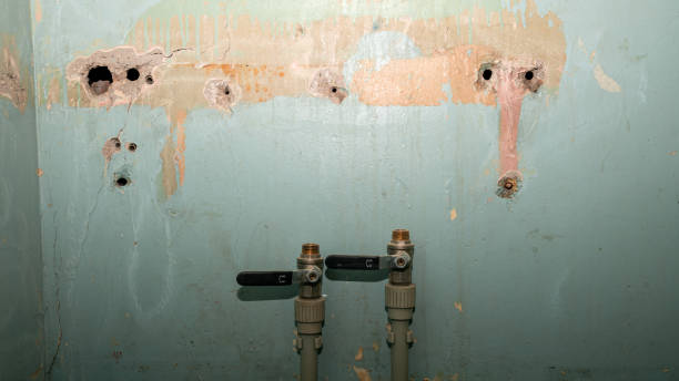 Best Water damage cleanup near me  in Plumsteadville, PA