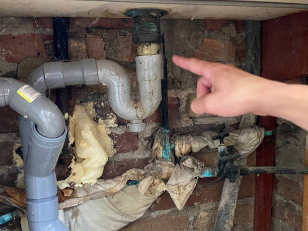 Best Residential water damage restoration  in Plumsteadville, PA