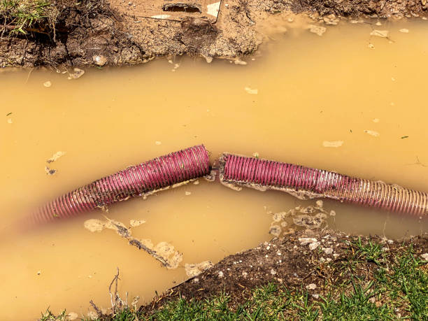 Best Commercial water damage restoration  in Plumsteadville, PA